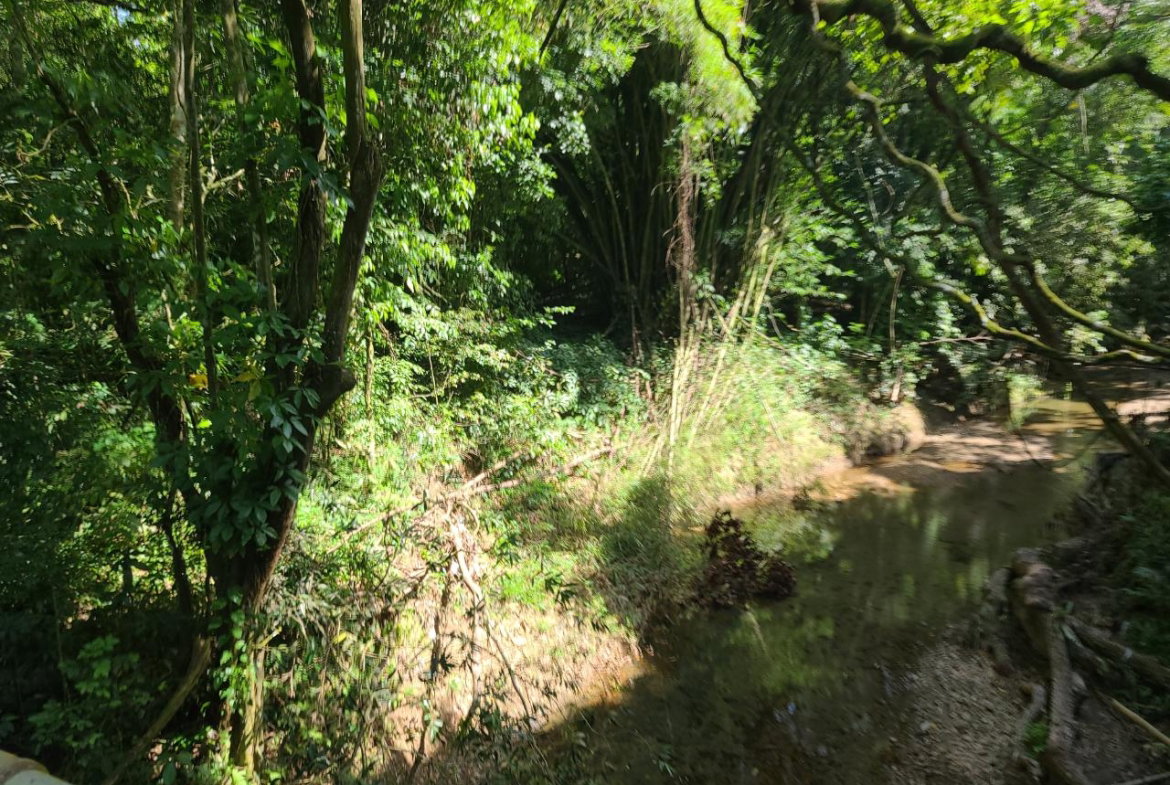 Ninth image of Orange River, Montego Bay in Montego Bay, St. James, Jamaica - property is For Sale