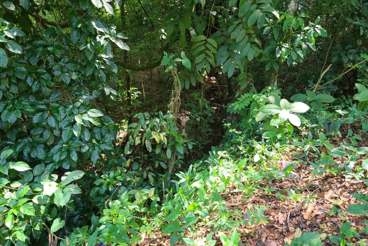 Tenth image of Orange River, Montego Bay in Montego Bay, St. James, Jamaica - property is For Sale