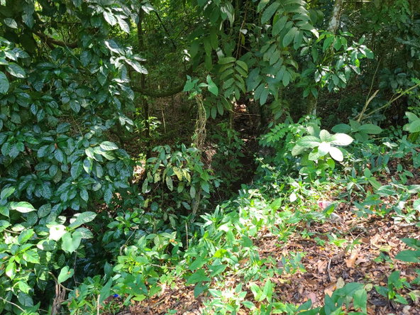 Tenth image of Orange River, Montego Bay in Montego Bay, St. James, Jamaica - property is For Sale