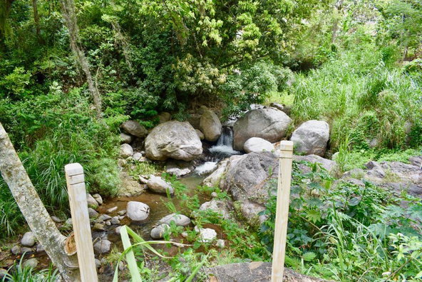 Nineteenth image of Gordon Town in Gordon Town, St. Andrew, Jamaica - property is For Sale