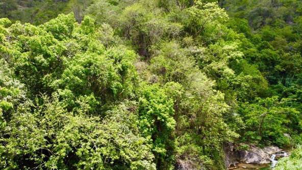 Twenty-Eighth image of Gordon Town in Gordon Town, St. Andrew, Jamaica - property is For Sale