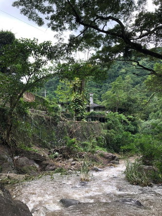 Ninth image of Gordon Town in Gordon Town, St. Andrew, Jamaica - property is For Sale