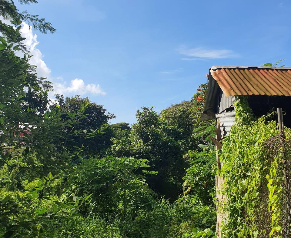 Eighteenth image of Main Street Christiana, m in Christiana, Manchester, Jamaica - property is For Sale