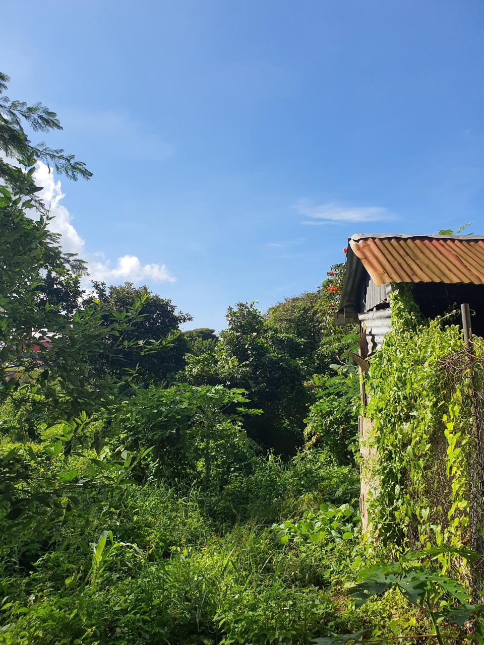 Eighteenth image of Main Street Christiana, m in Christiana, Manchester, Jamaica - property is For Sale