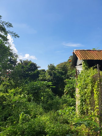 Eighteenth image of Main Street Christiana, m in Christiana, Manchester, Jamaica - property is For Sale