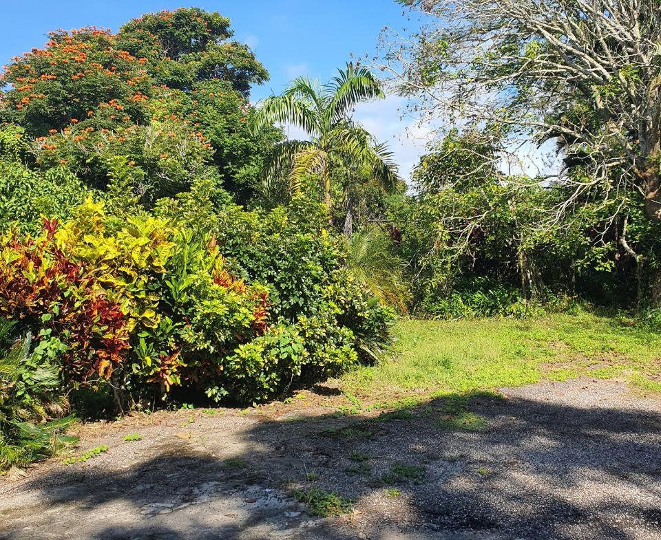 Twenty-Fifth image of Main Street Christiana, m in Christiana, Manchester, Jamaica - property is For Sale