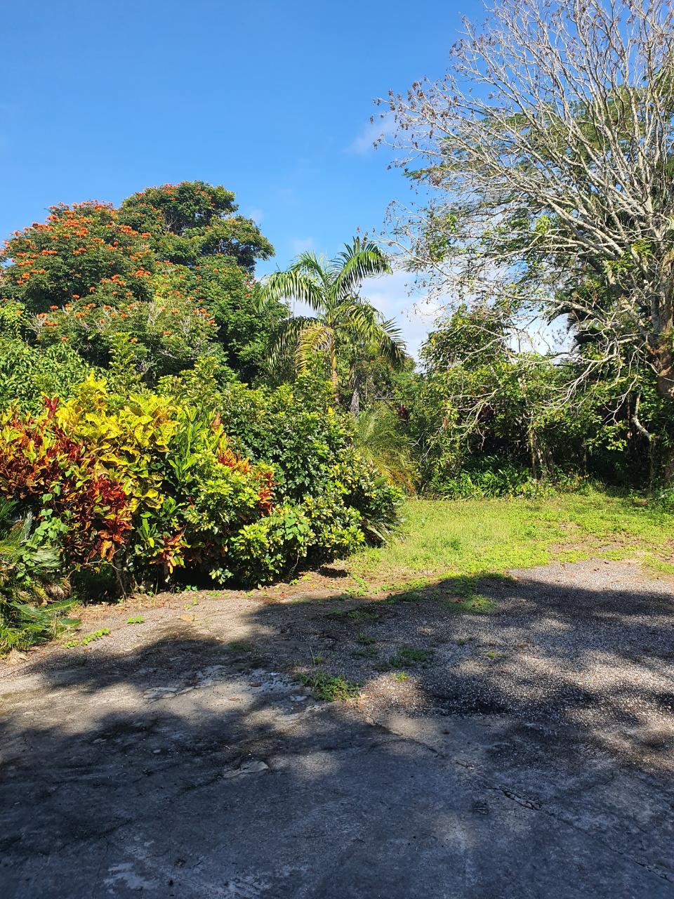 Twenty-Fifth image of Main Street Christiana, m in Christiana, Manchester, Jamaica - property is For Sale