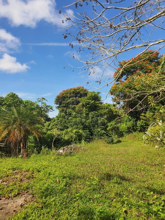 Fourth image of Main Street Christiana, m in Christiana, Manchester, Jamaica - property is For Sale