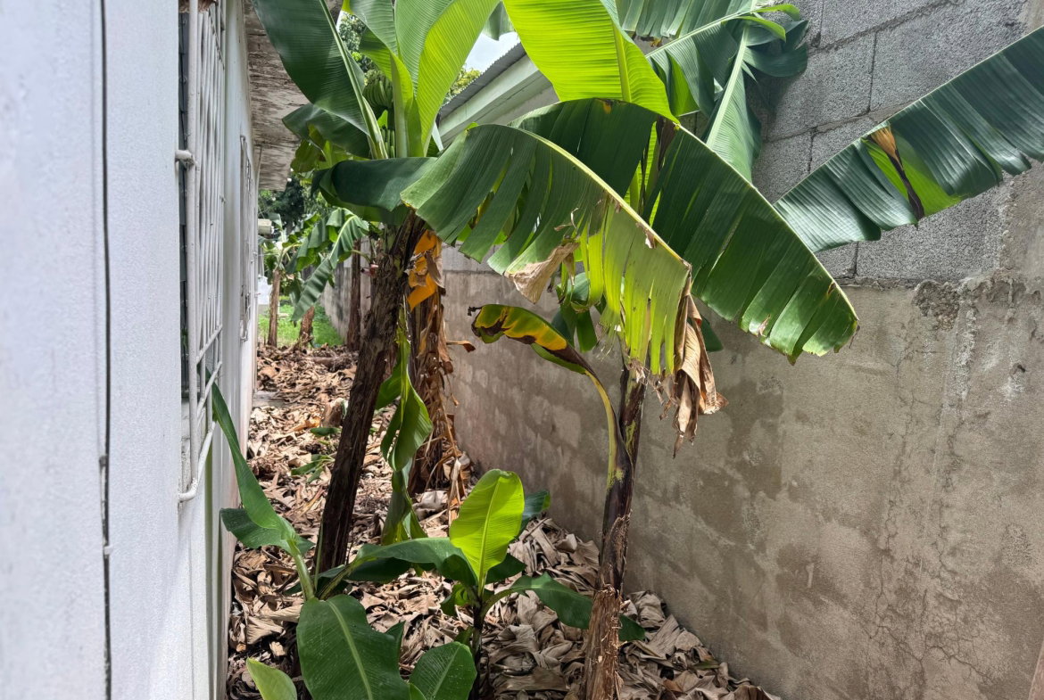 Fifth image of 80 Lyndale Avenue in Kingston 20, St. Andrew, Jamaica - property is For Sale