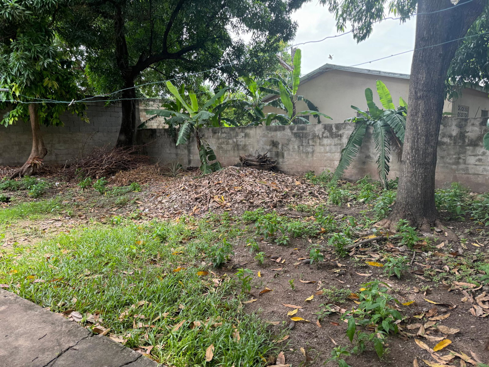 Sixth image of 80 Lyndale Avenue in Kingston 20, St. Andrew, Jamaica - property is For Sale