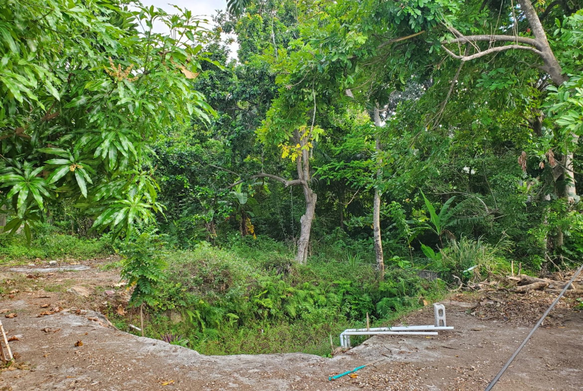 Thirteenth image of Coral Gardens in Montego Bay, St. James, Jamaica - property is For Sale