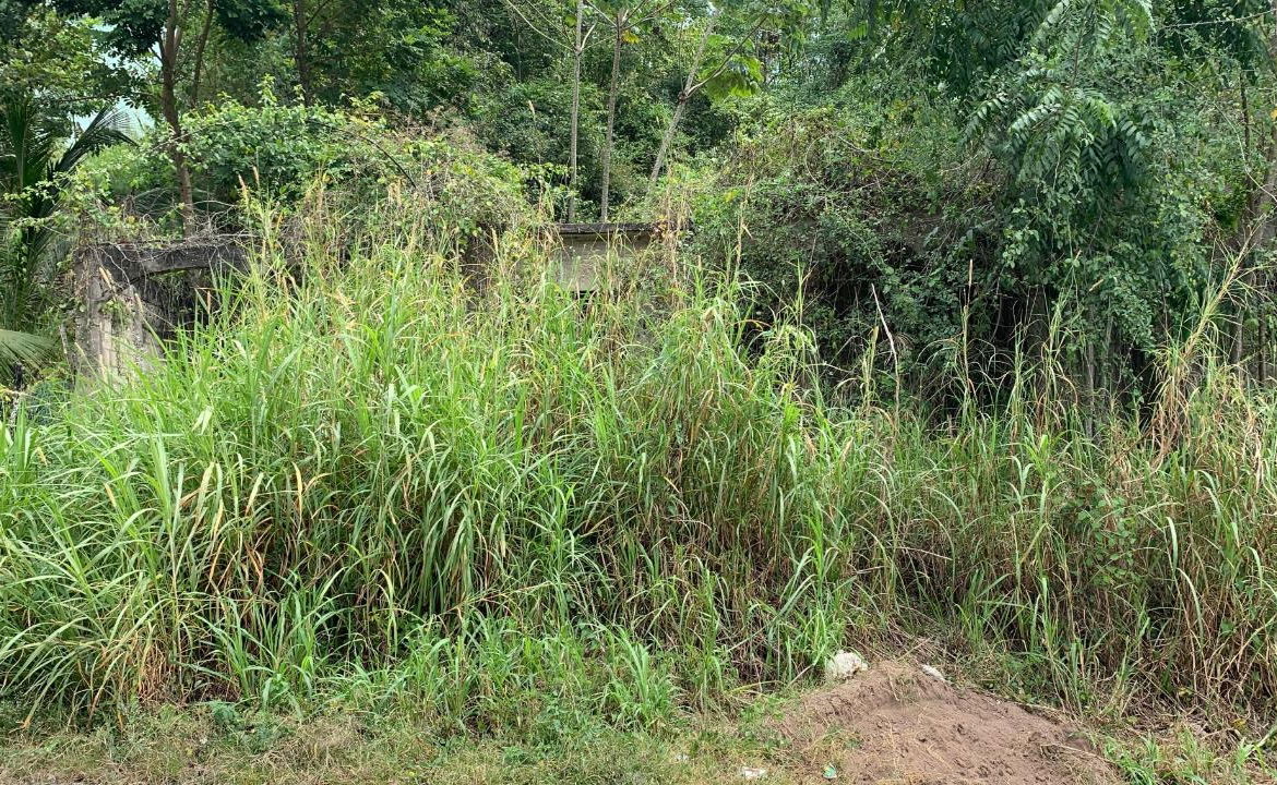 Fourth image of Part of Hayfield in Hayfield, St. Catherine, Jamaica - property is For Sale