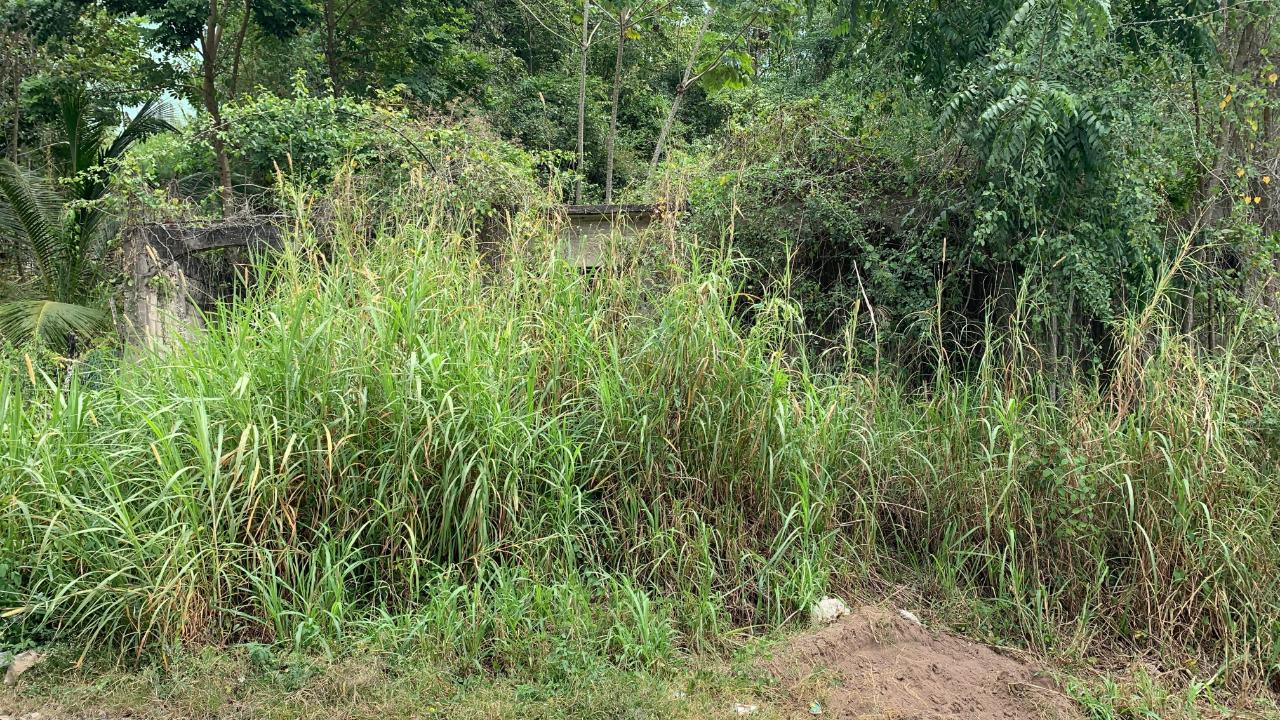 Fourth image of Part of Hayfield in Hayfield, St. Catherine, Jamaica - property is For Sale