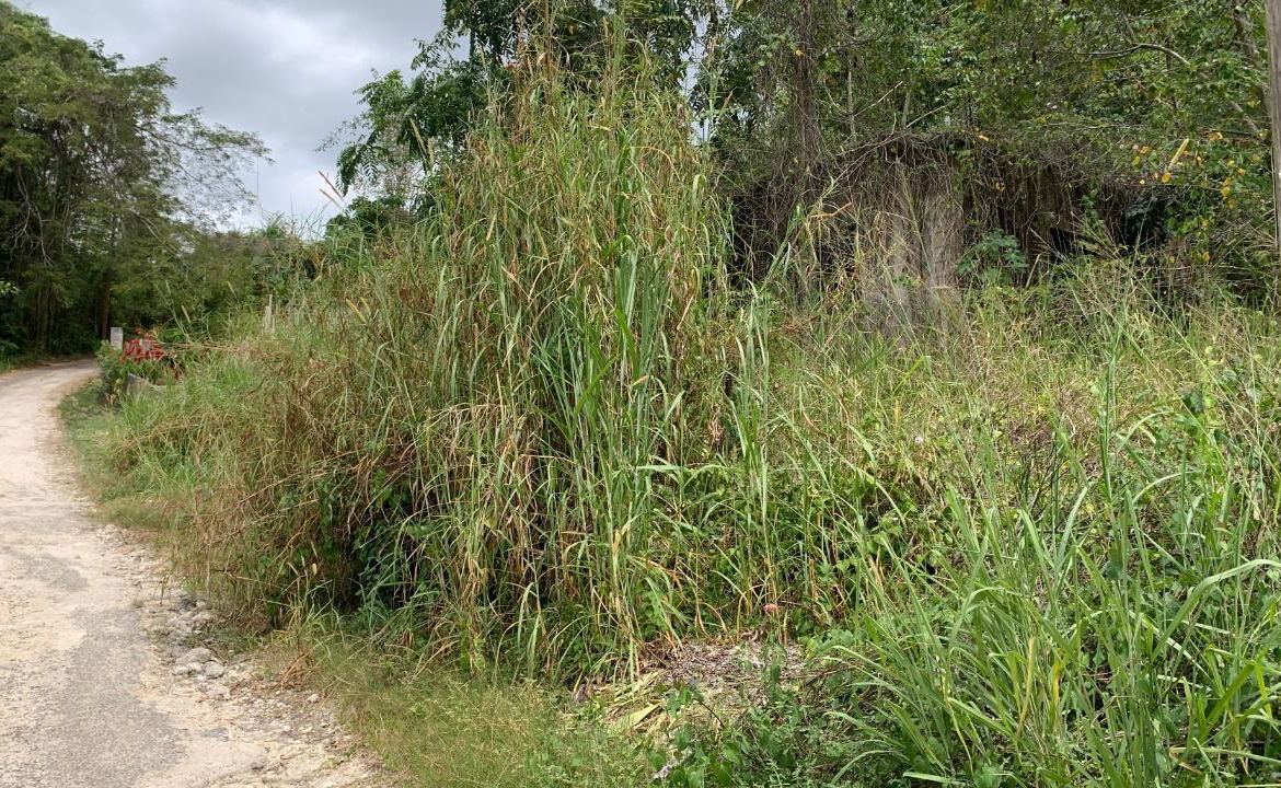 Fifth image of Part of Hayfield in Hayfield, St. Catherine, Jamaica - property is For Sale