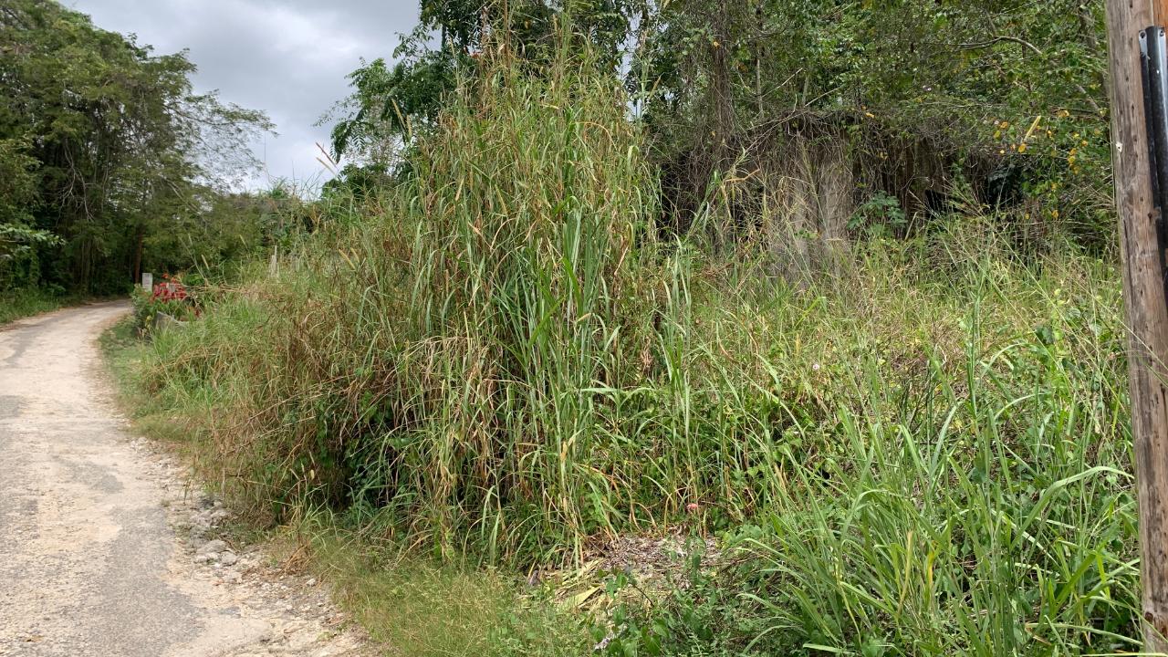 Fifth image of Part of Hayfield in Hayfield, St. Catherine, Jamaica - property is For Sale