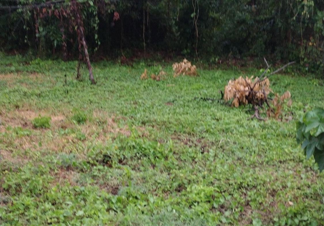 Eighteenth image of Lot-13 Hart Boulevard in Montego Bay, St. James, Jamaica - property is For Sale