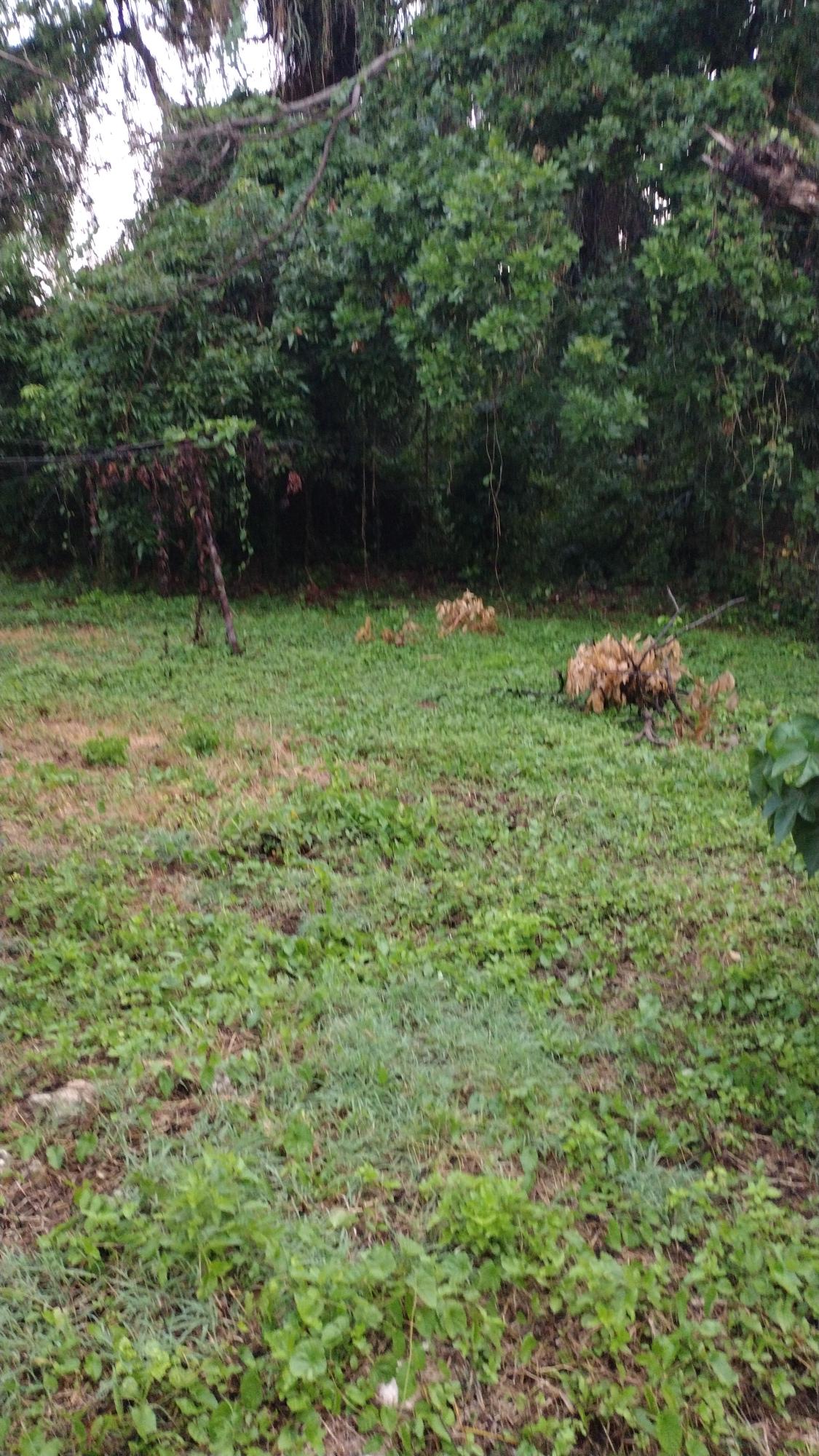 Eighteenth image of Lot-13 Hart Boulevard in Montego Bay, St. James, Jamaica - property is For Sale