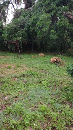 Eighteenth image of Lot-13 Hart Boulevard in Montego Bay, St. James, Jamaica - property is For Sale