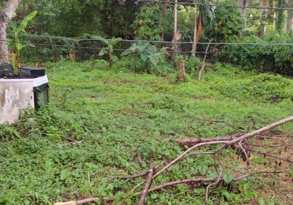 Nineteenth image of Lot-13 Hart Boulevard in Montego Bay, St. James, Jamaica - property is For Sale