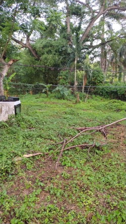 Nineteenth image of Lot-13 Hart Boulevard in Montego Bay, St. James, Jamaica - property is For Sale