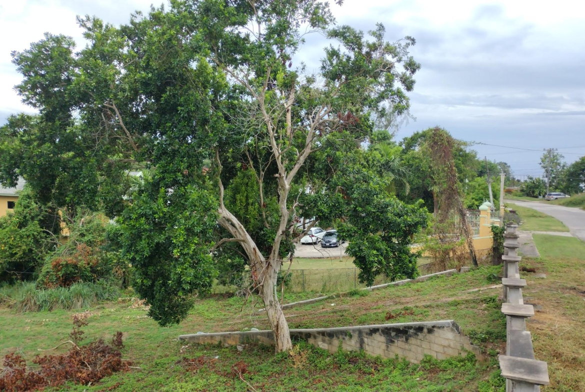 Fourth image of Lot-13 Hart Boulevard in Montego Bay, St. James, Jamaica - property is For Sale