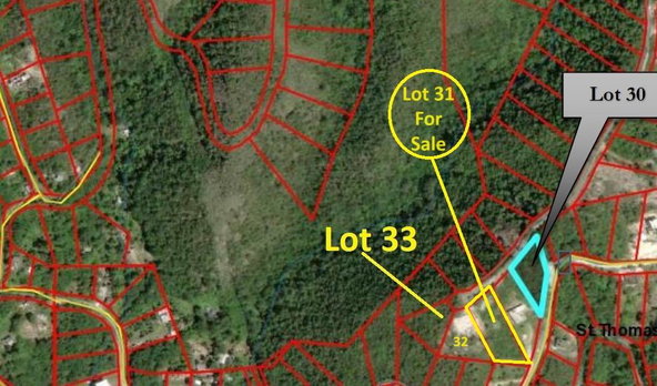 Third image of Albion Heights in Albion, St. Thomas, Jamaica - property is For Sale