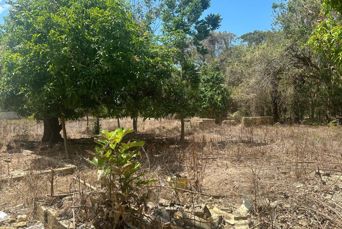 Twelfth image of 71 Lovers Lane, Black River in Black River, St. Elizabeth, Jamaica - property is For Sale