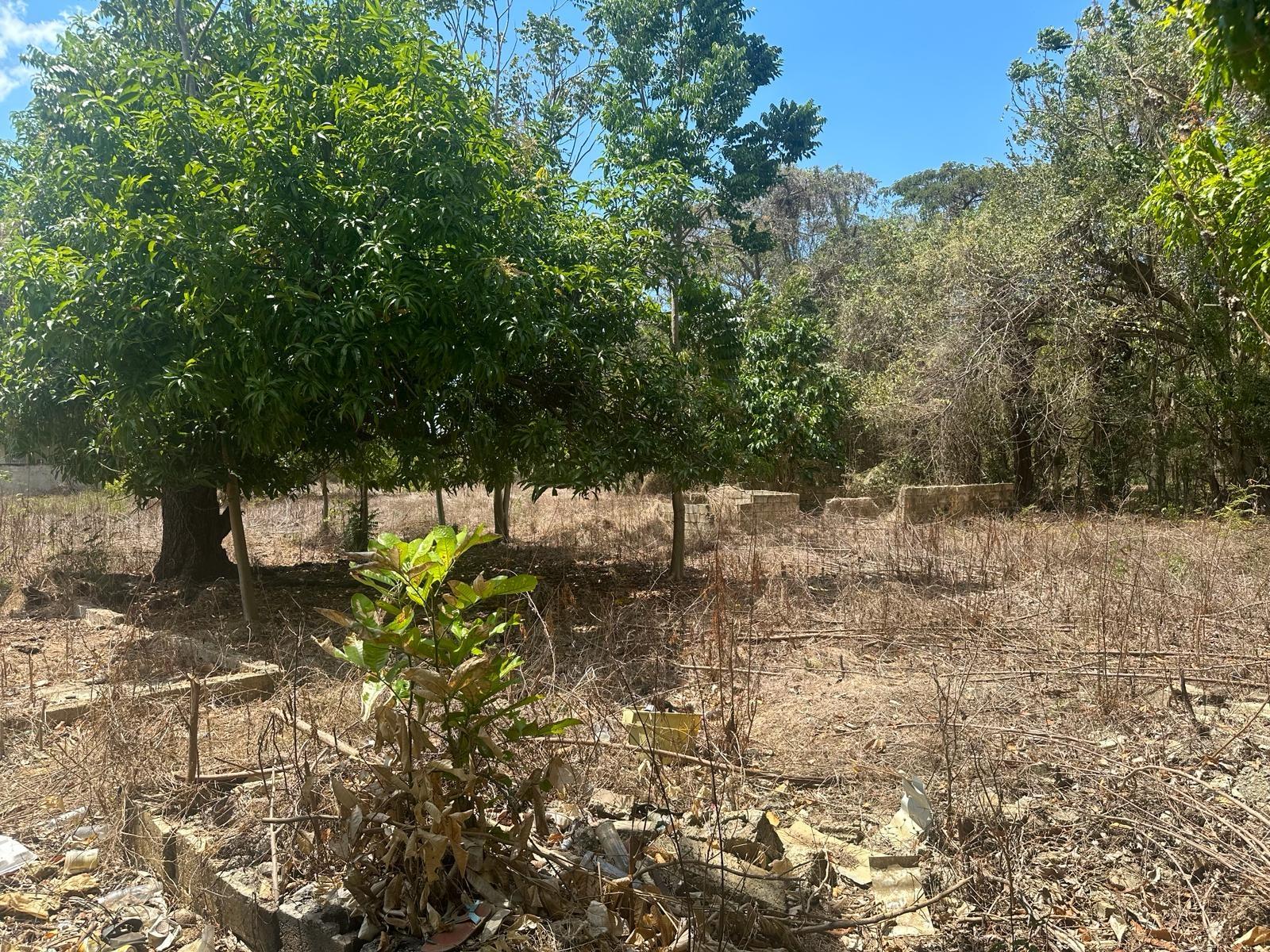 Twelfth image of 71 Lovers Lane, Black River in Black River, St. Elizabeth, Jamaica - property is For Sale