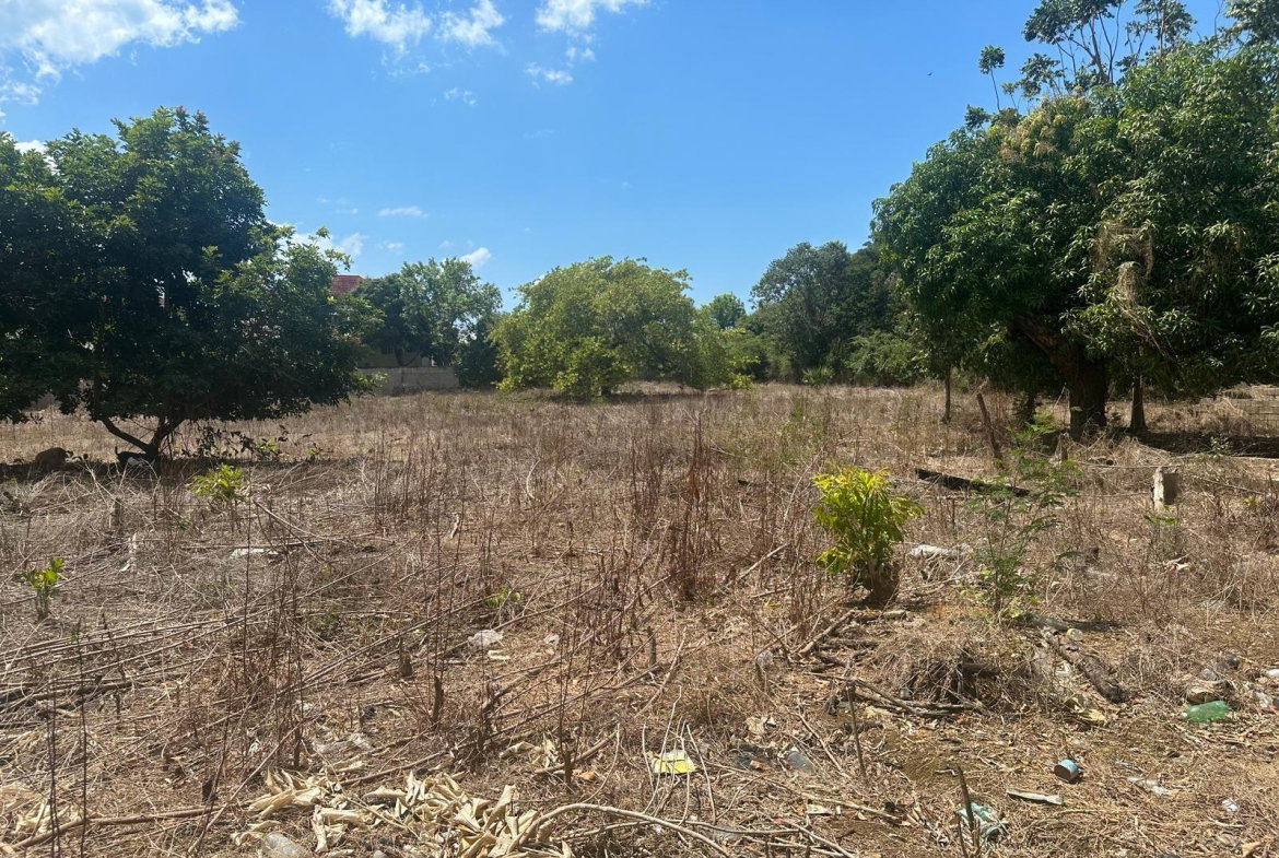 Fourteenth image of 71 Lovers Lane, Black River in Black River, St. Elizabeth, Jamaica - property is For Sale