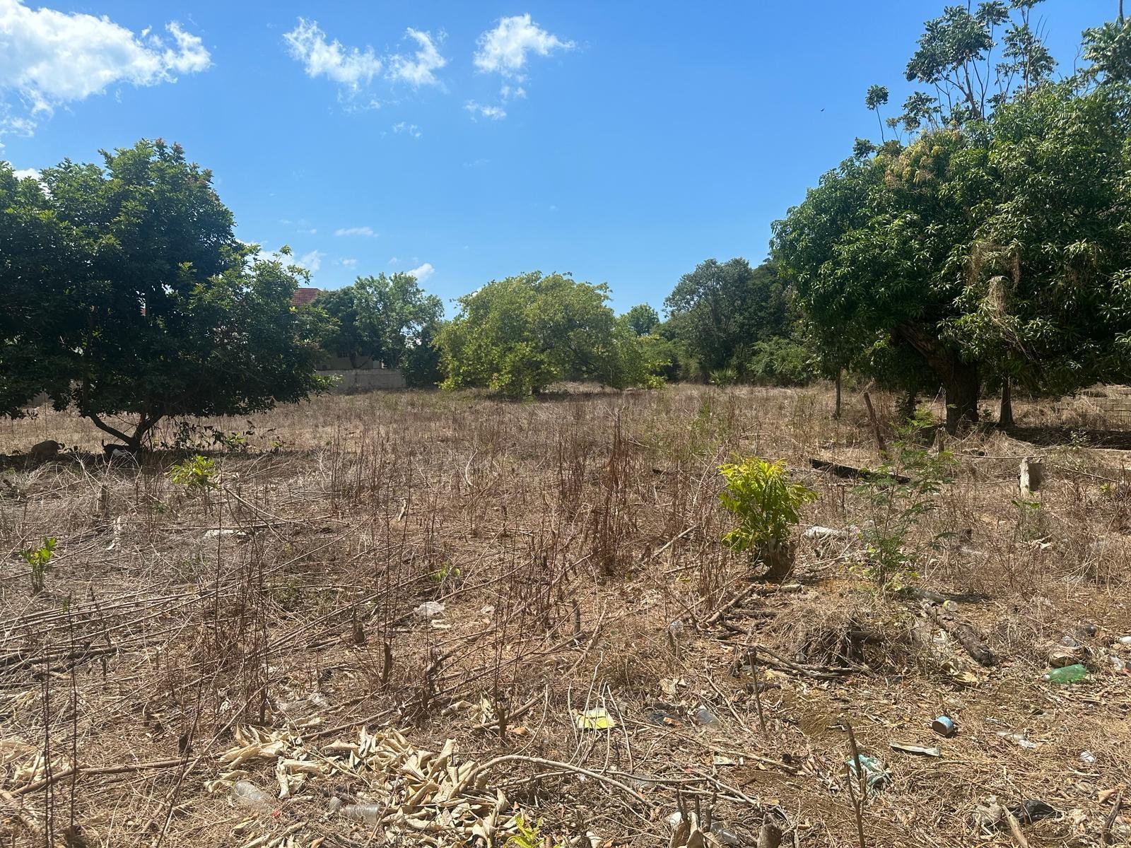 Fourteenth image of 71 Lovers Lane, Black River in Black River, St. Elizabeth, Jamaica - property is For Sale