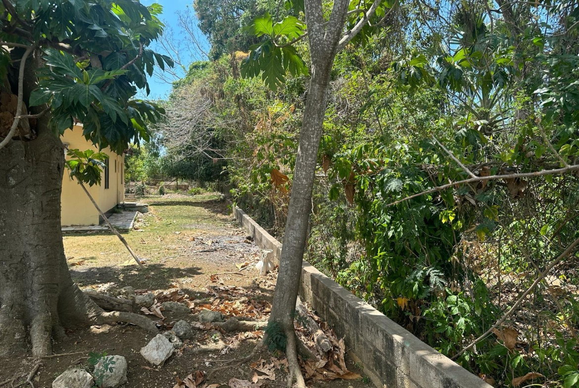 Fifteenth image of 71 Lovers Lane, Black River in Black River, St. Elizabeth, Jamaica - property is For Sale