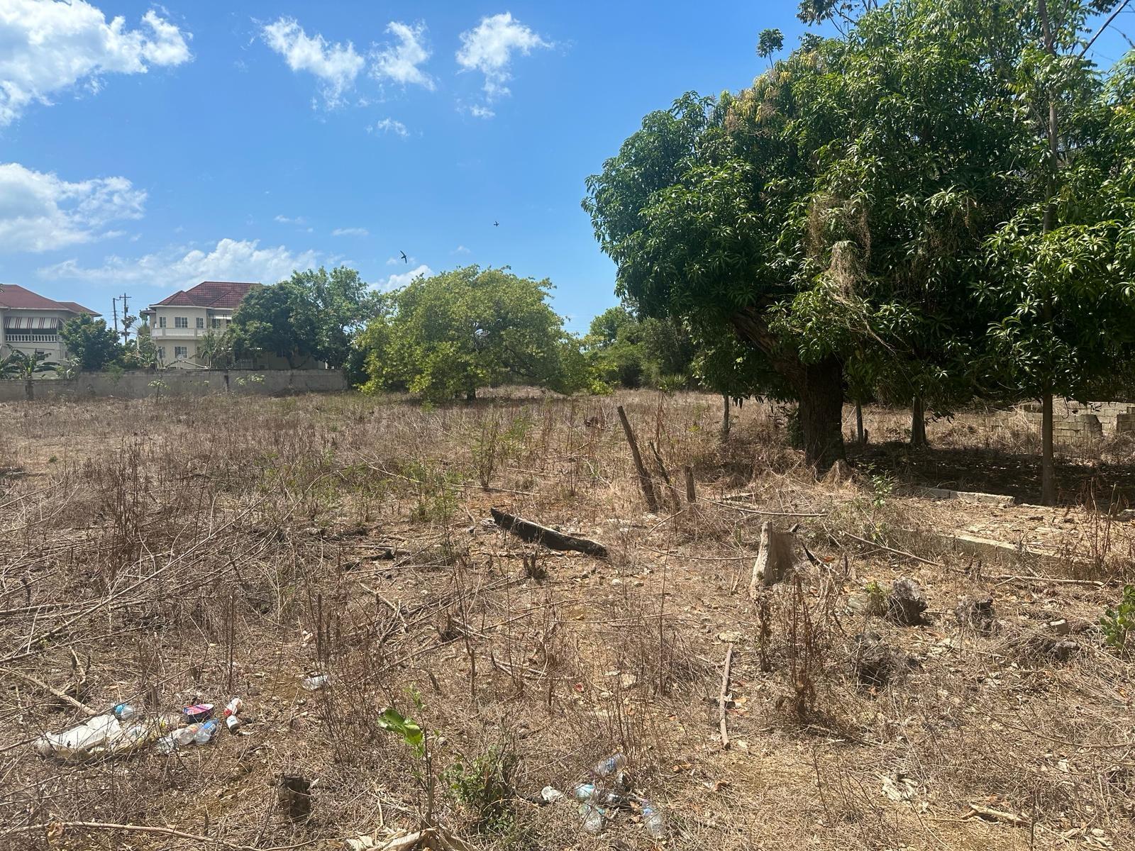 Seventeenth image of 71 Lovers Lane, Black River in Black River, St. Elizabeth, Jamaica - property is For Sale