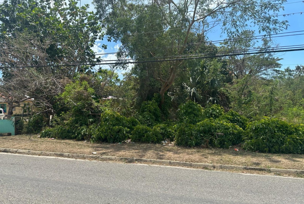 Nineteenth image of 71 Lovers Lane, Black River in Black River, St. Elizabeth, Jamaica - property is For Sale
