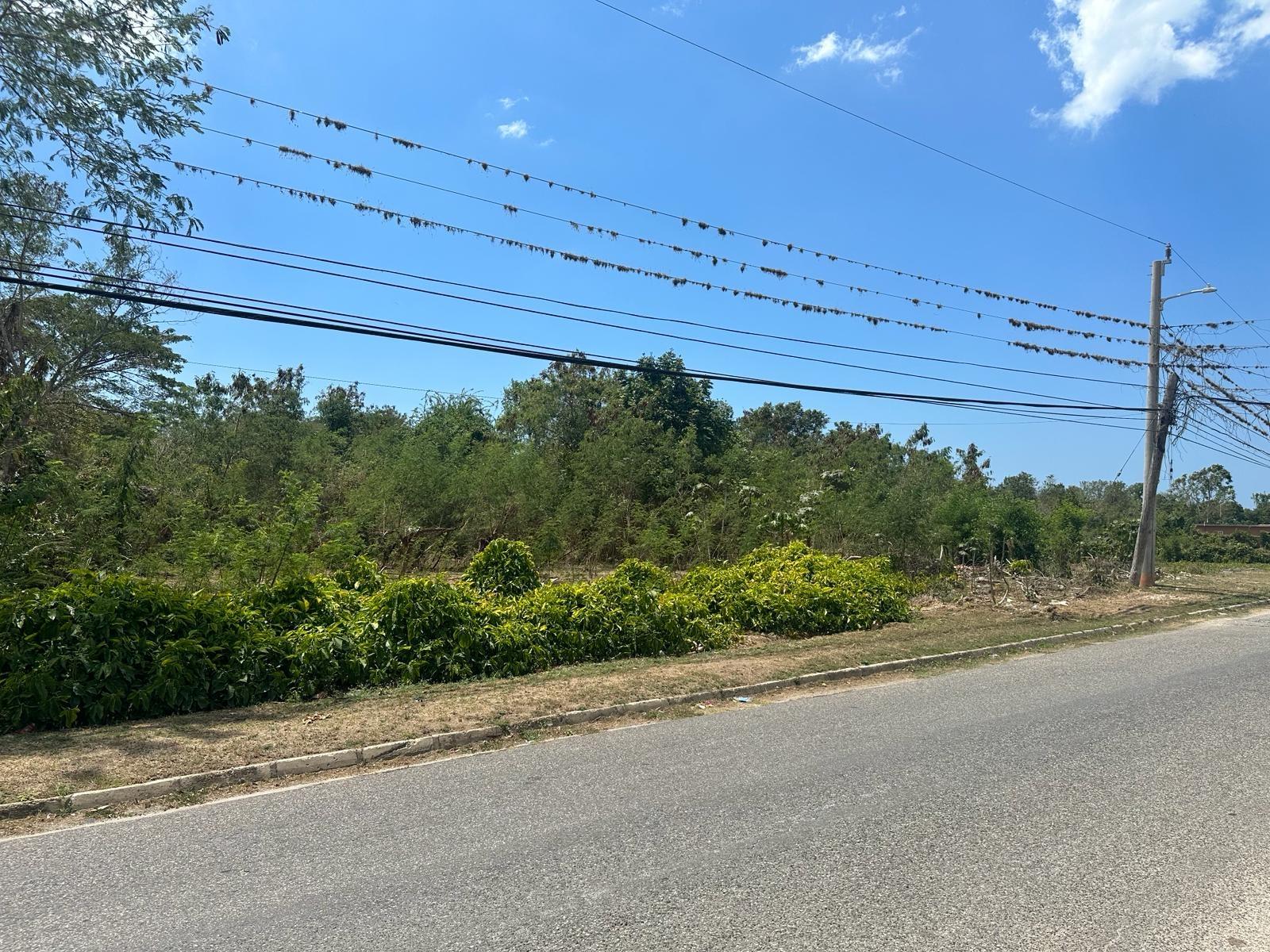 Twenty-Second image of 71 Lovers Lane, Black River in Black River, St. Elizabeth, Jamaica - property is For Sale