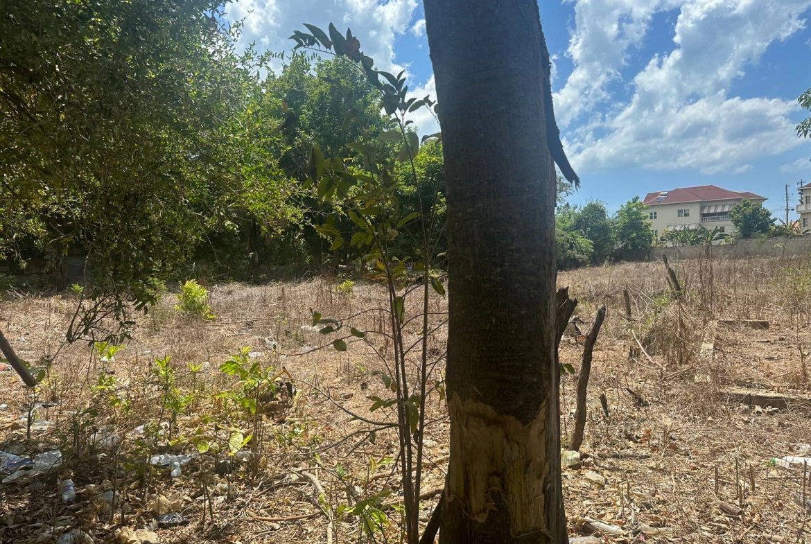 Ninth image of 71 Lovers Lane, Black River in Black River, St. Elizabeth, Jamaica - property is For Sale