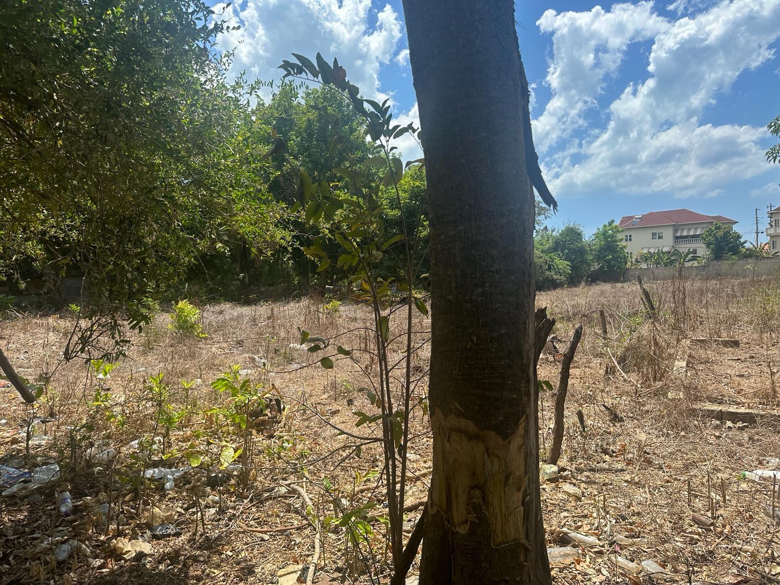 Ninth image of 71 Lovers Lane, Black River in Black River, St. Elizabeth, Jamaica - property is For Sale