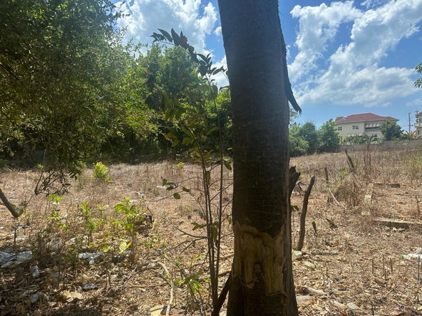 Ninth image of 71 Lovers Lane, Black River in Black River, St. Elizabeth, Jamaica - property is For Sale