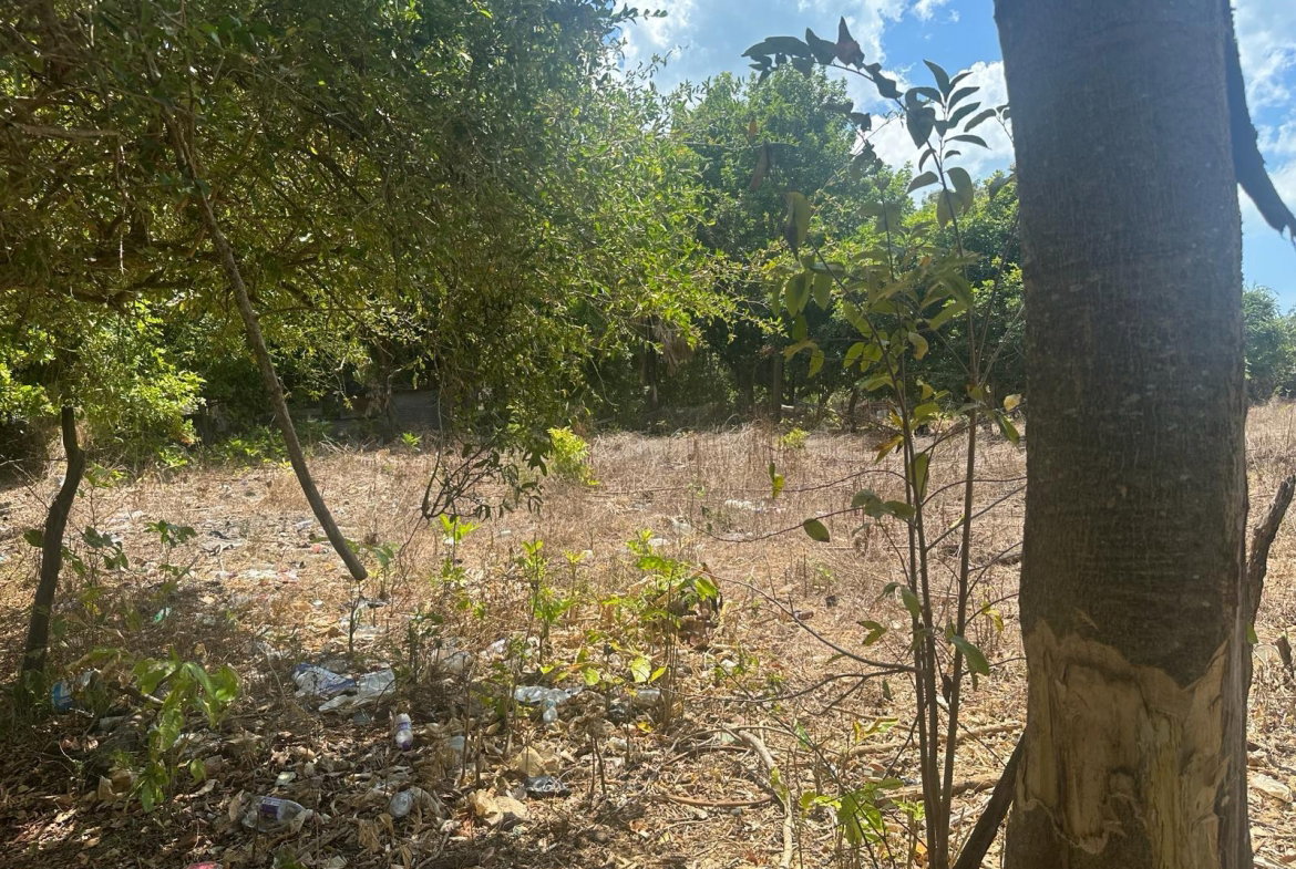 Tenth image of 71 Lovers Lane, Black River in Black River, St. Elizabeth, Jamaica - property is For Sale