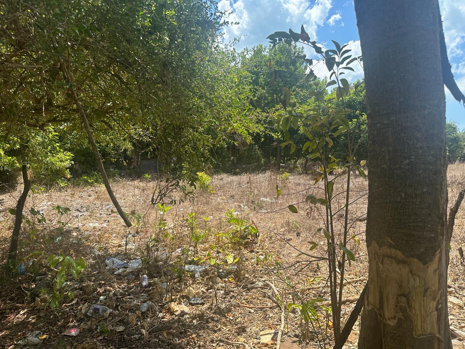 Tenth image of 71 Lovers Lane, Black River in Black River, St. Elizabeth, Jamaica - property is For Sale