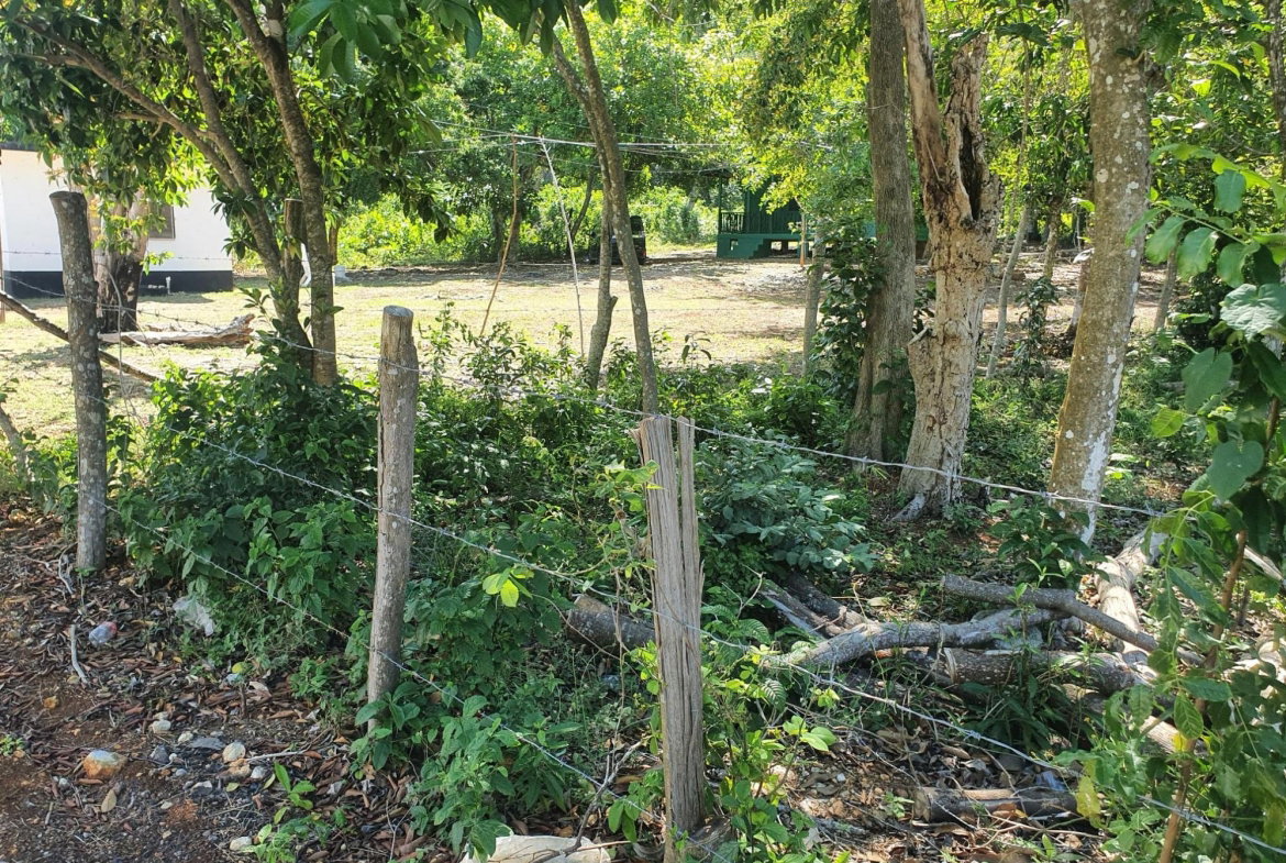 Fourth image of 9d Cousins Cove, Plantations in Cousins Cove, Hanover, Jamaica - property is For Sale