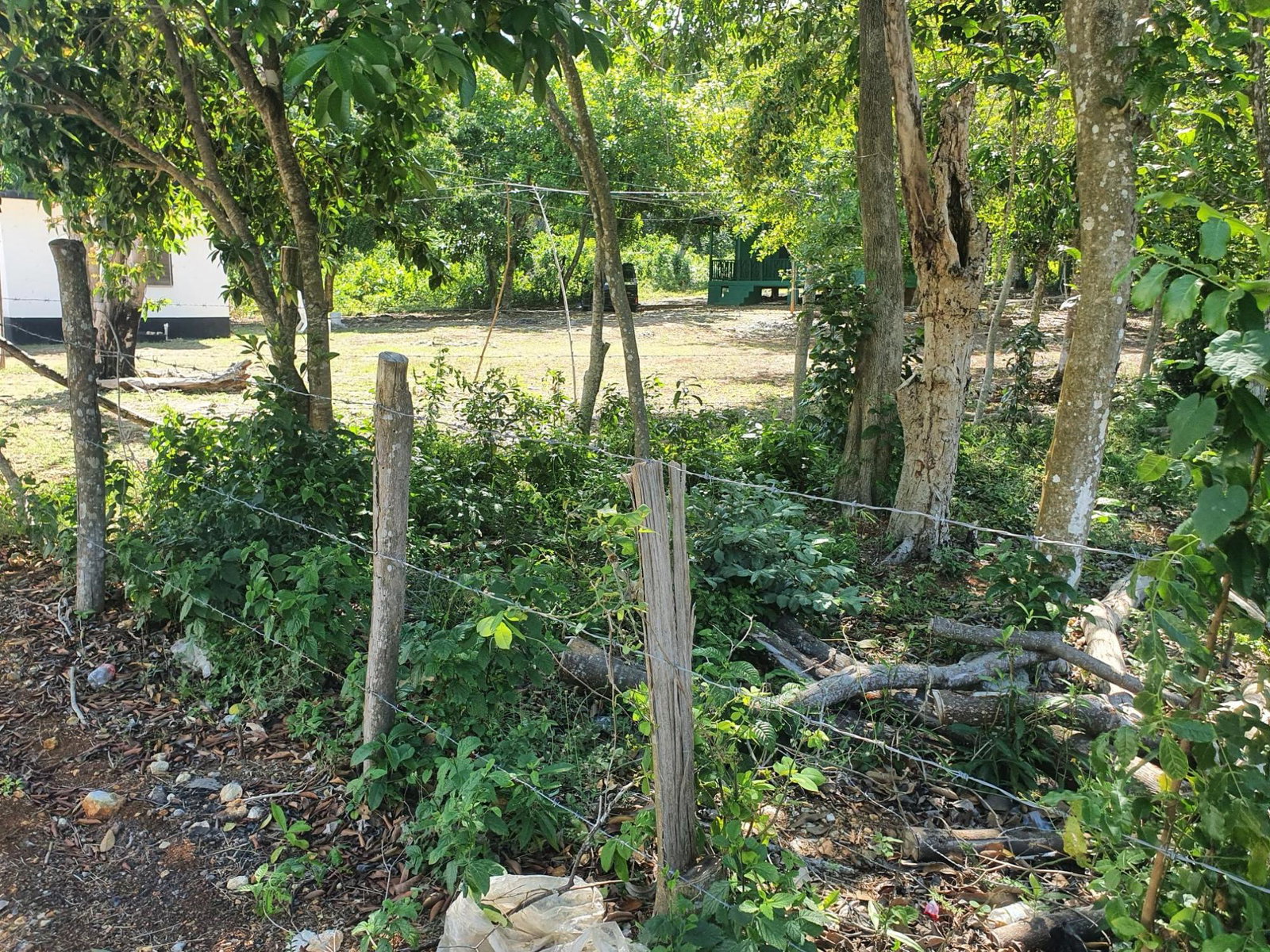 Fourth image of 9d Cousins Cove, Plantations in Cousins Cove, Hanover, Jamaica - property is For Sale