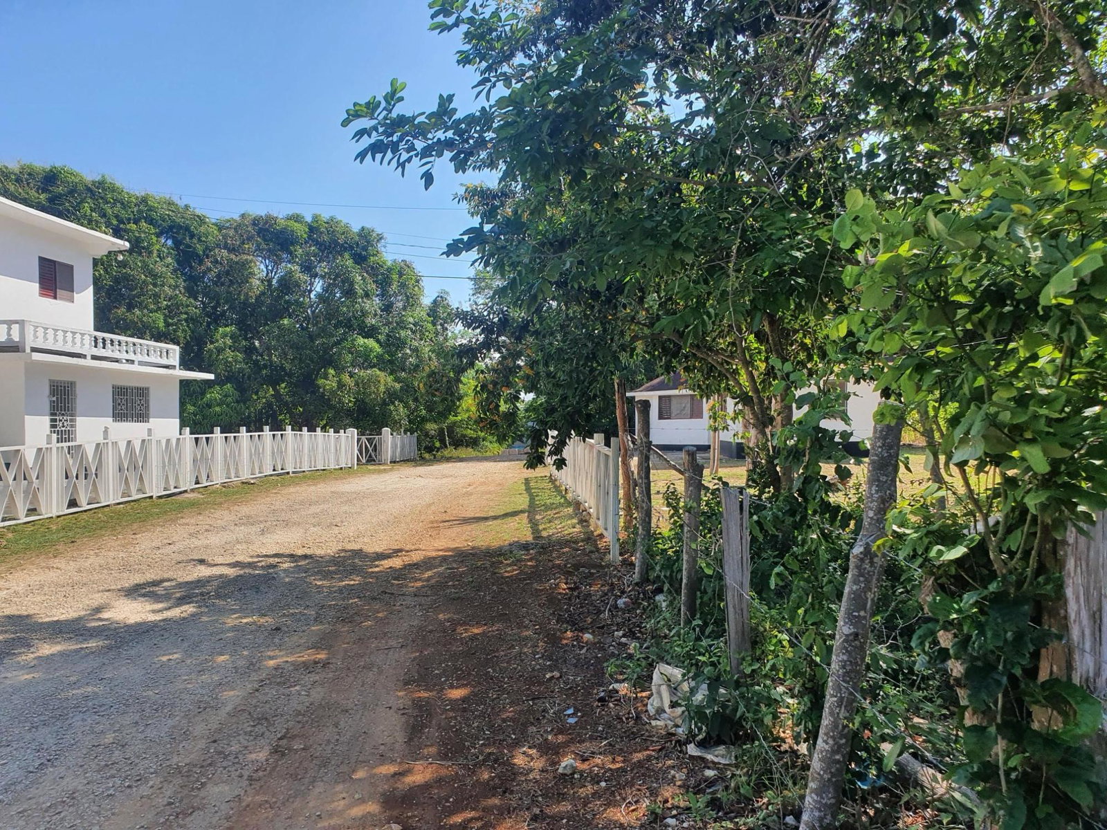 Fifth image of 9d Cousins Cove, Plantations in Cousins Cove, Hanover, Jamaica - property is For Sale