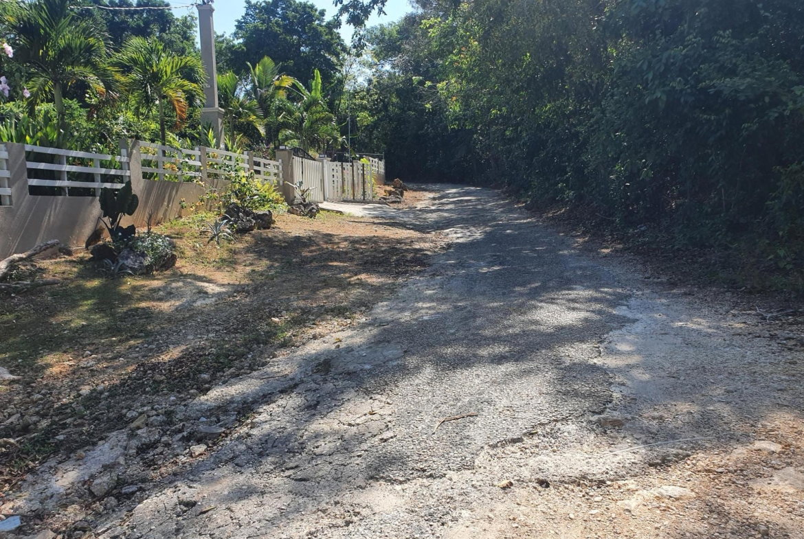 Sixth image of 9d Cousins Cove, Plantations in Cousins Cove, Hanover, Jamaica - property is For Sale