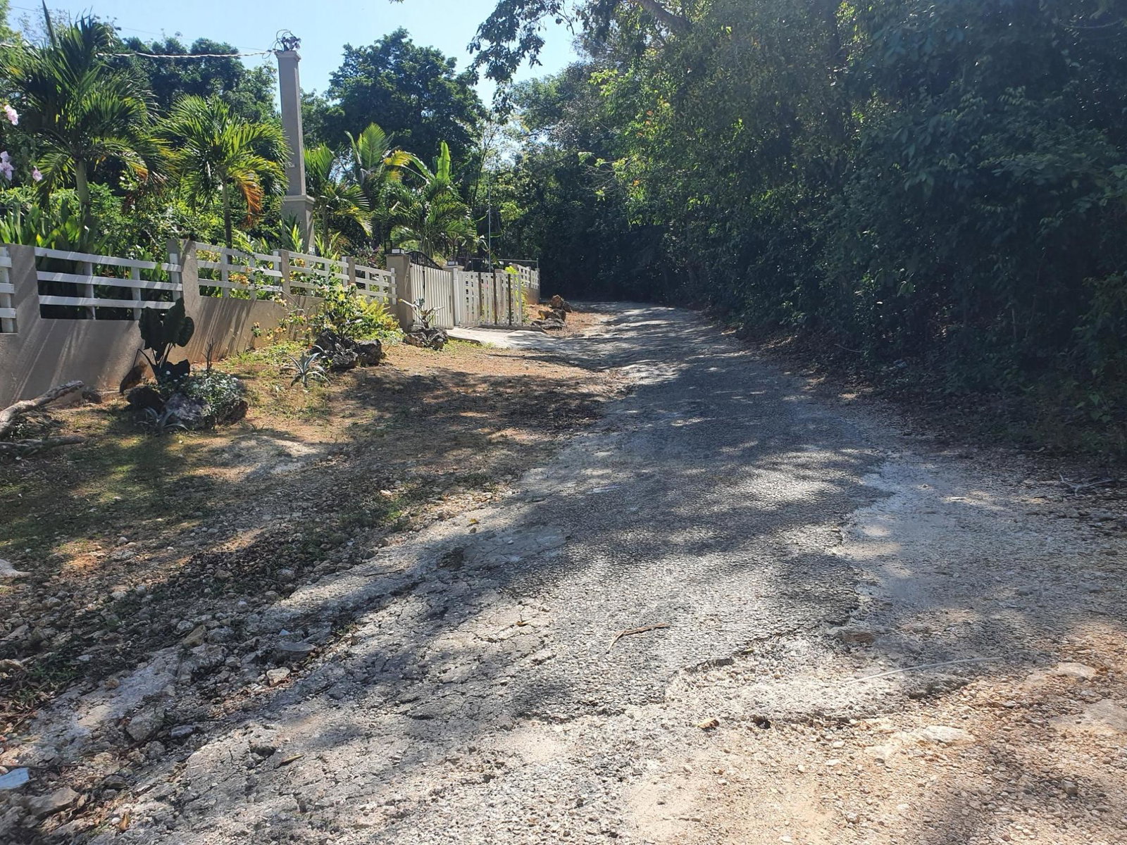 Sixth image of 9d Cousins Cove, Plantations in Cousins Cove, Hanover, Jamaica - property is For Sale