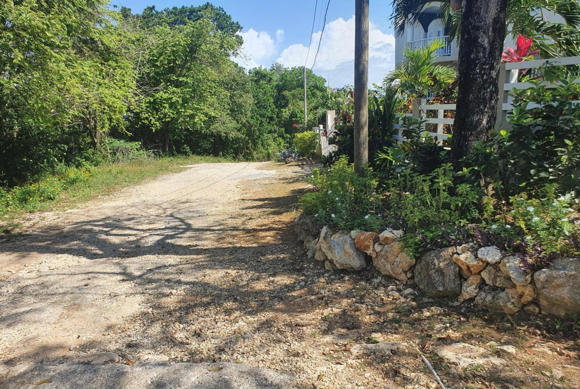 Seventh image of 9d Cousins Cove, Plantations in Cousins Cove, Hanover, Jamaica - property is For Sale