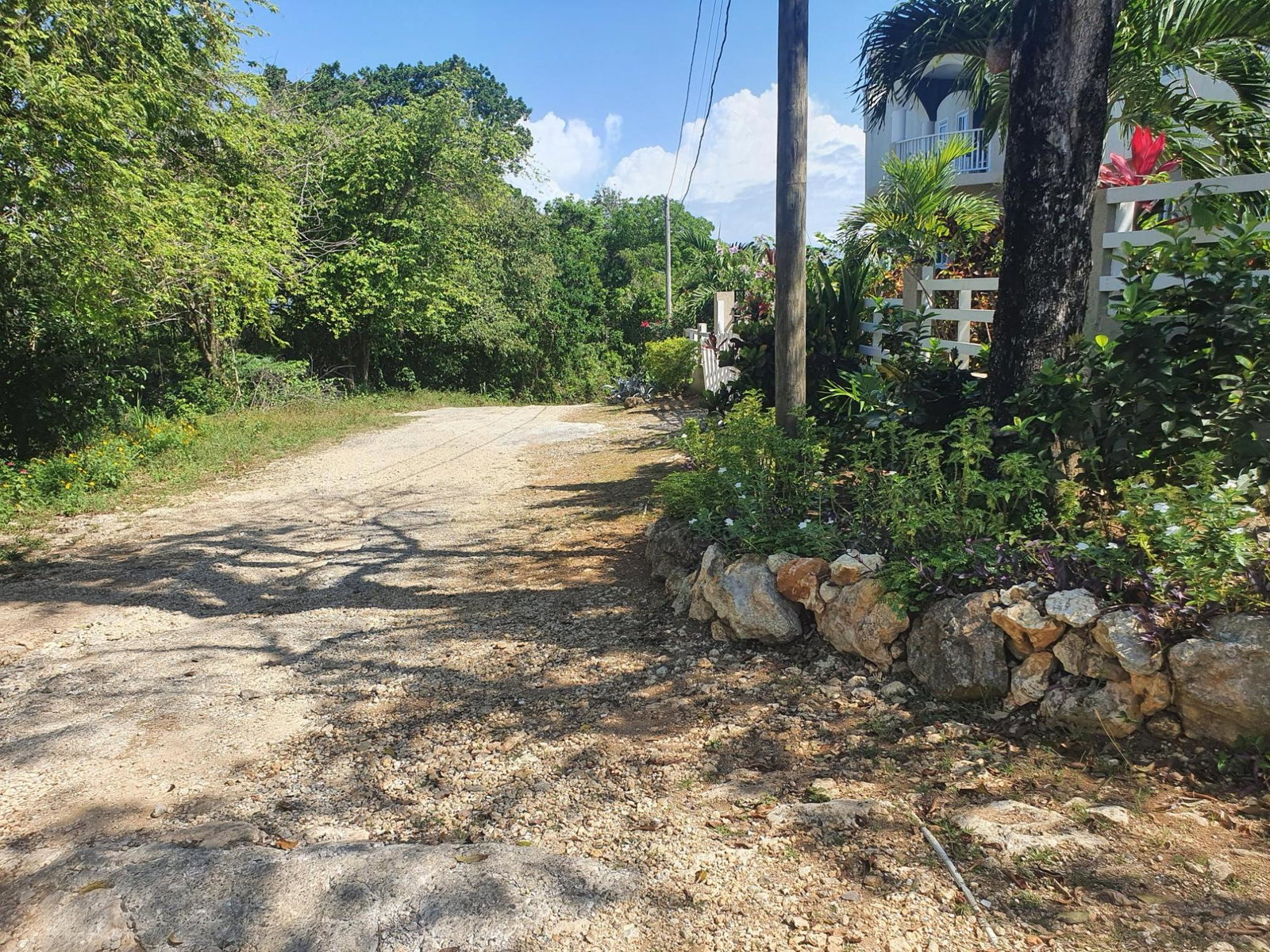 Seventh image of 9d Cousins Cove, Plantations in Cousins Cove, Hanover, Jamaica - property is For Sale