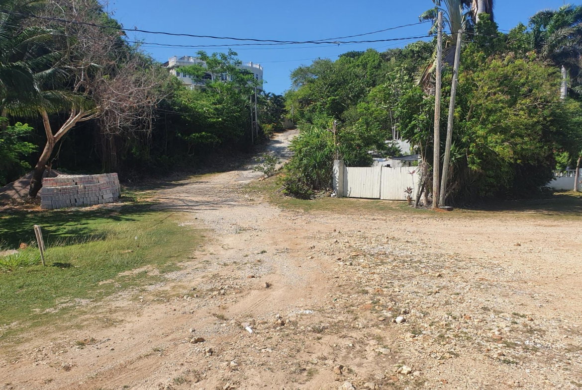 Eighth image of 9d Cousins Cove, Plantations in Cousins Cove, Hanover, Jamaica - property is For Sale
