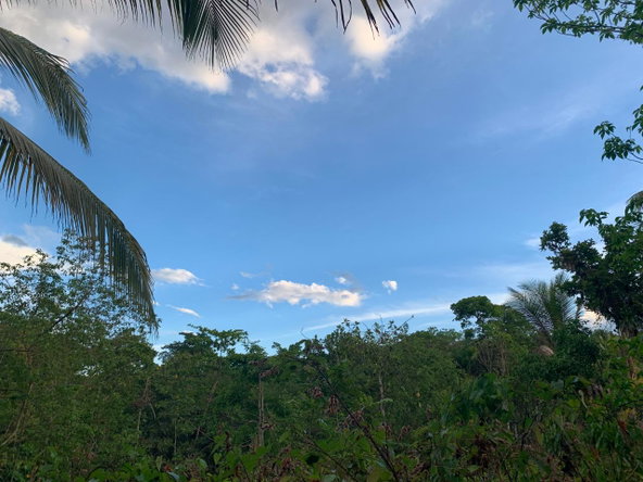 Eleventh image of Lethe/copse in Montego Bay, St. James, Jamaica - property is For Sale