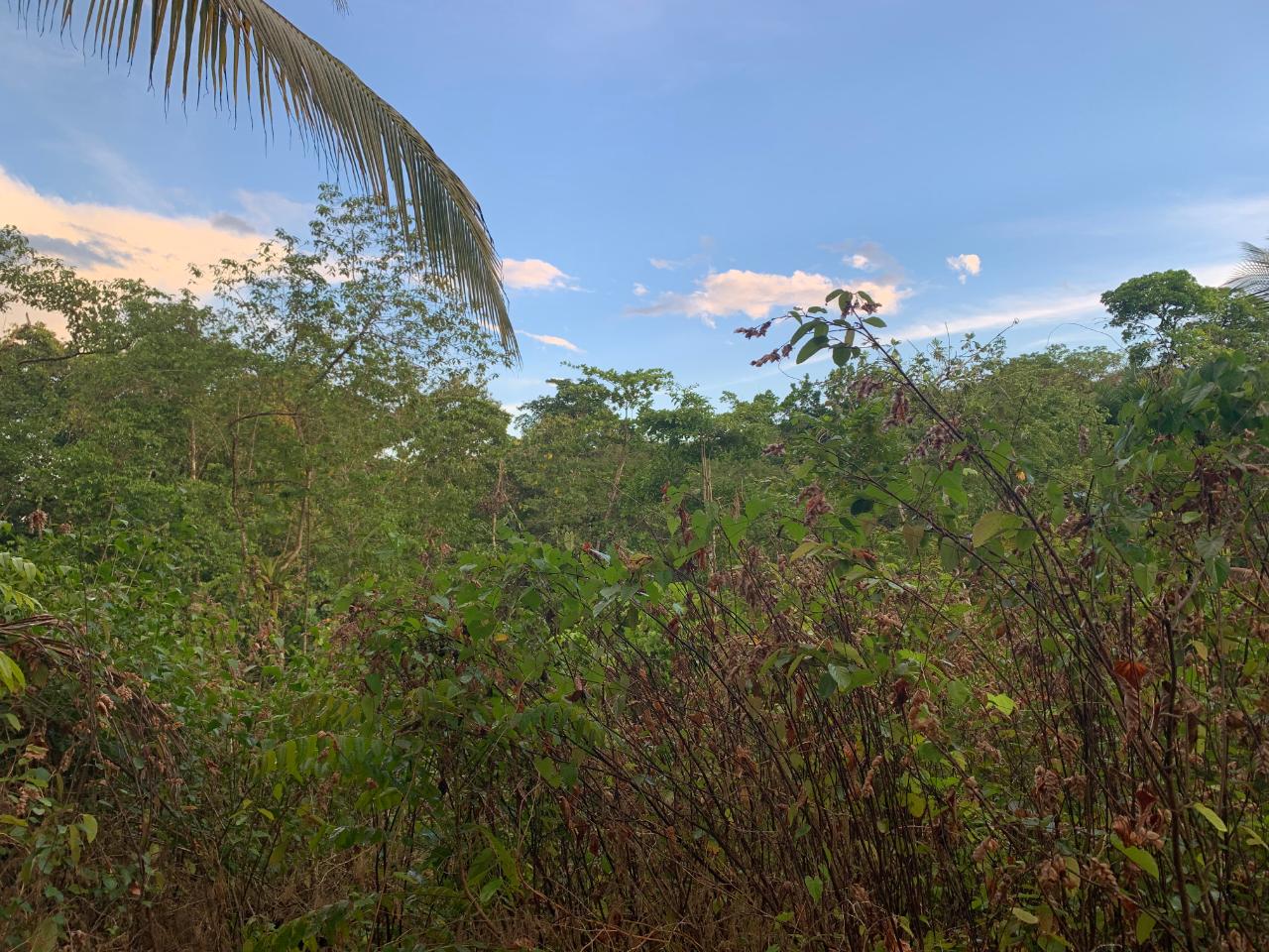 Twelfth image of Lethe/copse in Montego Bay, St. James, Jamaica - property is For Sale