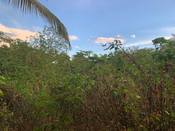 Twelfth image of Lethe/copse in Montego Bay, St. James, Jamaica - property is For Sale